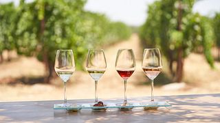 Pranzo leggero presso l'azienda vinicola Ktima Akrani