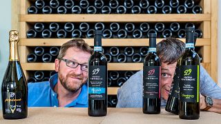 Cantina Vintinove