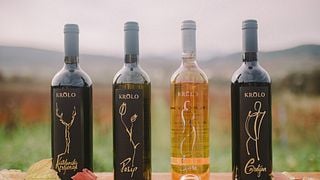 Degustação de vinhos clássicos na vinícola Krolo