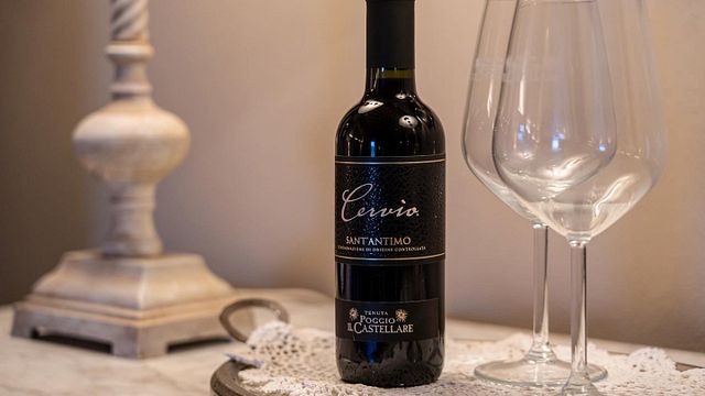 Degustação de Vinhos e Tour no Tenuta Poggio Il Castellare