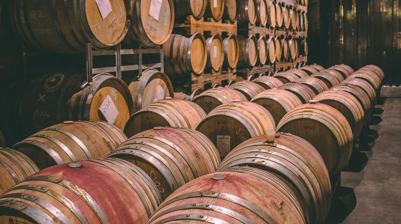 Visite privée des vins de Waipara