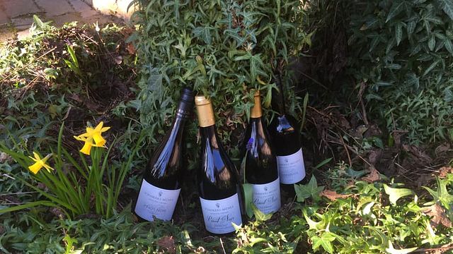 Degustazione di vini e tour presso la cantina Schamari Mühle