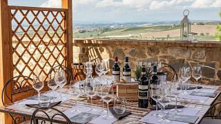 Visite privée et dégustation de vins dans les châteaux viticoles du Chianti au départ de Florence