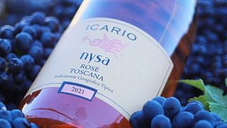 Degustação de Vinhos de Ouro na Vinícola Icario