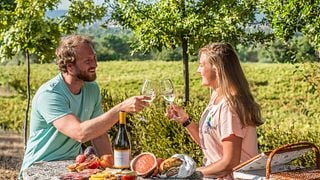 Pique-nique au vignoble de Caminhos Cruzados
