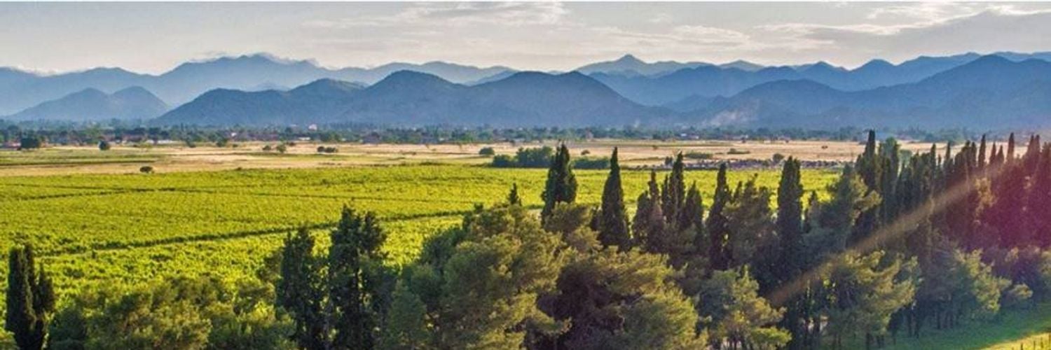 plantaze-lush-vineyards_ib0wum-1024x523