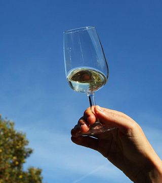 Degustazione di vini e visita a Vignoble Klur