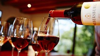 Weinprobe und Tour bei Webersburg Wines