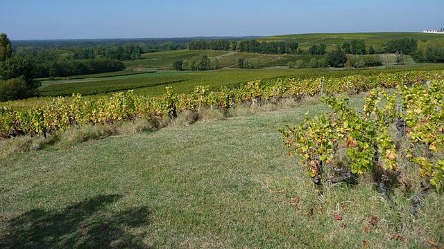 Château Lamothe Despujols