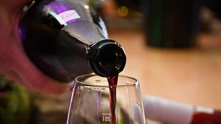 „Ein prickelnder Hochgenuss“ – Eine Secco- und Sektverkostung