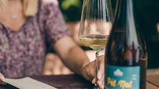 Weinprobe und Tour im Weingut Tsarev Brod