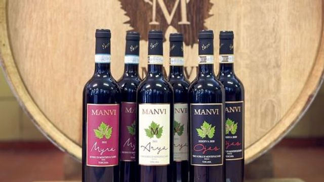 Toskanische Bio-Wein- und Weinbergtour im Il Quercione von Manvi + Verkostung von 3 Weinen