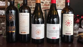 Dégustation de vins et visite de la Fattoria Fibbiano