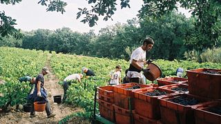 Domaine La Casenove