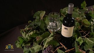 Degustação de vinhos e tour em Caparra & Siciliani