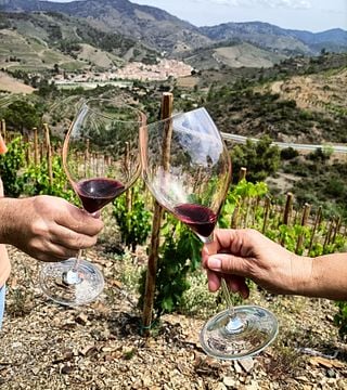 Wine Tasting Among the Vines of Tentiber