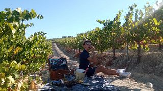 Heldagstur på vingården Montilla-Moriles från Córdoba