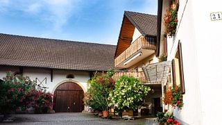 Weinprobe im Weingut Sommerhalter