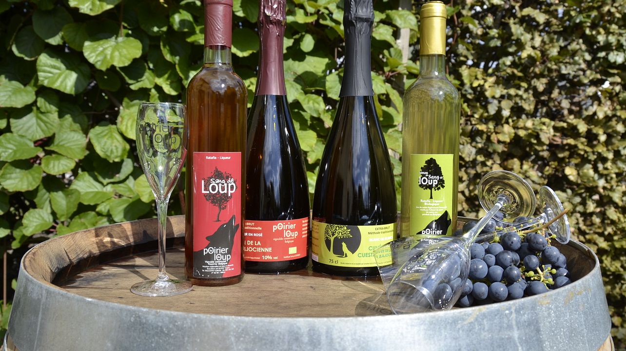 Visite guidée et dégustation de vins au Poirier du Loup