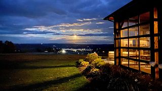 Point Of The Bluff Vineyards