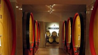 Cata de vinos populares y visita a la bodega Azienda Agricola Innocenti