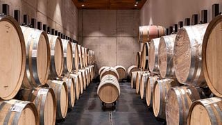 Discover Volcanic Tuscan Wines near Mount Amiata