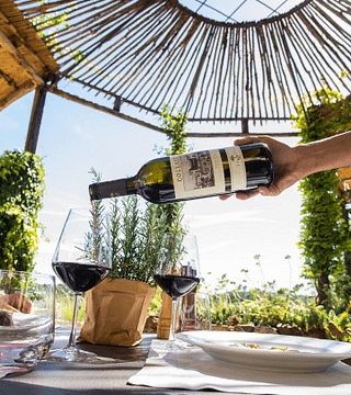 Tenuta I Collazzi