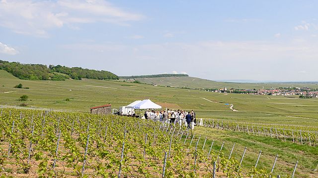 Champagne HATT et SÖNER