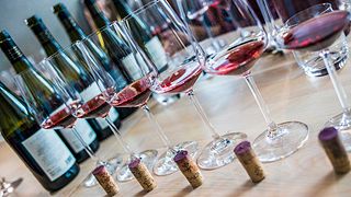Degustazione di vini e visita alla cantina Etyeki Kúria