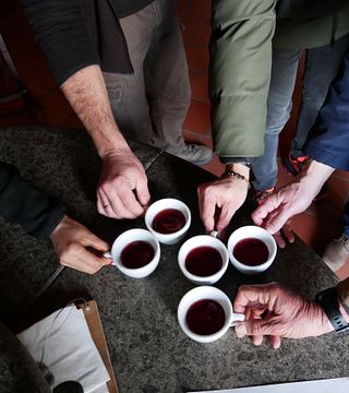 Taste Emilia-Romagna Wines on a Food Pairing Journey