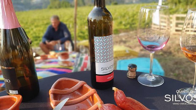 Dégustation de vins à Quinta De Silvoso