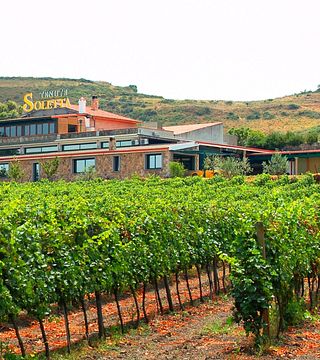 Wine Tasting and Tour at Tenute Soletta