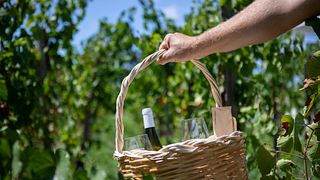 Picknick i Castellaro