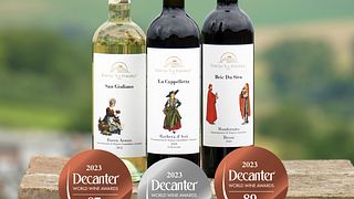 Verkostung von Roero- und Monferrato-Weinen in der Tenuta „La Pergola“ di Bodda Alessandra