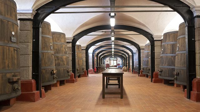 Veneto Wine & Garden Tour at Dominio di Bagnoli