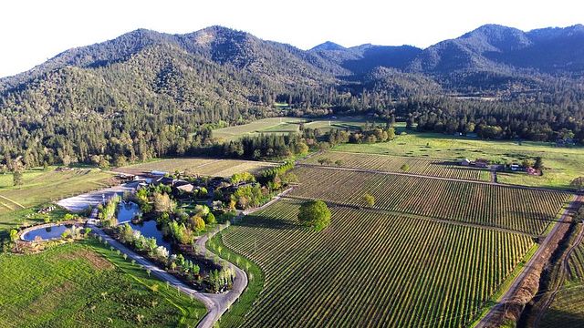 Schmidt Family Vineyards