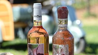 Aperitif zwischen Land und Meer: Unser Rosati Doc Bolgheri | Tenuta Campo al Signore