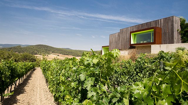 Degustação de vinhos e visita ao Mas Rodó Vitivinicola