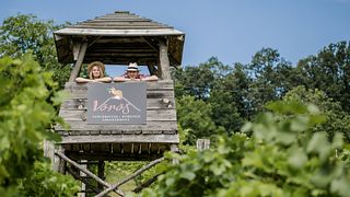 Degustazione di vini presso l'azienda vinicola Renata