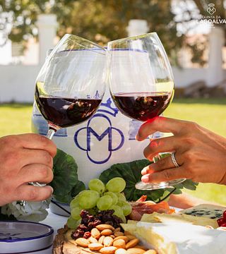 Tour e Prova de Vinhos na Quinta Da Lagoalva