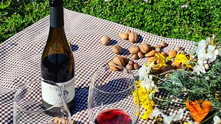 Enjoy a Scenic Picnic among Etna Vineyards