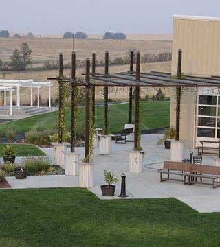 Lindsay Creek Vineyards