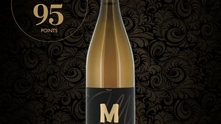 Dégustation de vins extrême et visite chez M-simply good wines