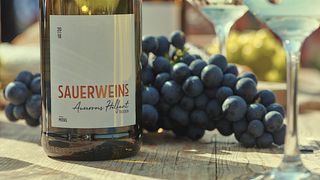 Piccola degustazione di vini (6 vini)