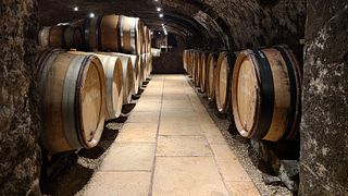 Degustazione di vini e visita al Domaine Coste-Caumartin
