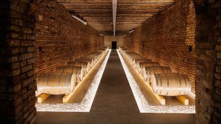 Weintour und Weinprobe