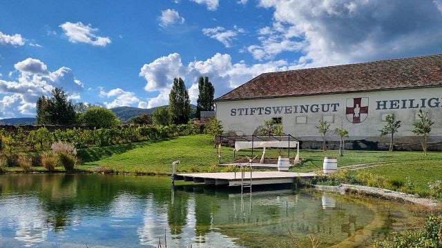 Sommerliche Weintour durch den Wienerwald (April-Oktober)