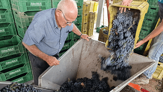 Weinprobe und Tour bei Gurrieri