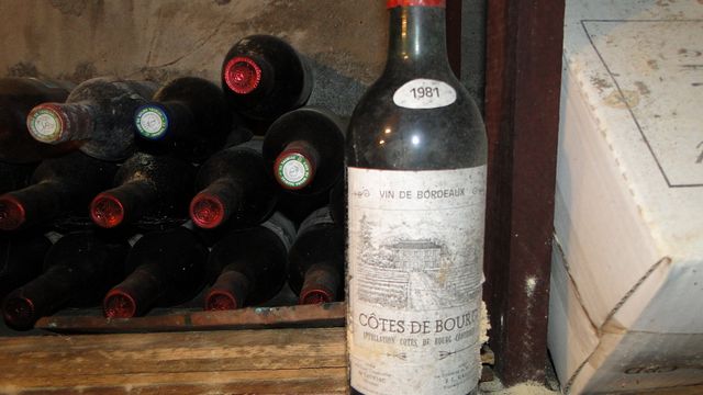 Bordeaux Vineyard Wine & Picnic Bliss