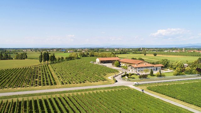 Essences of the Territory – A Tasting of Three Friuli Aquileia DOC Wines at Cantina Valpanera